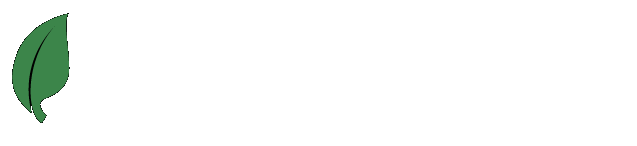 Image: Website designed by 29internet, Porth, Rhondda Cynon, hosted with 100% renewable energy.